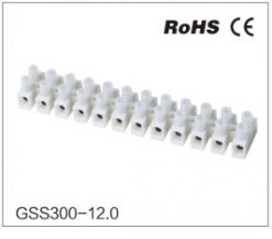GSS300-12.0