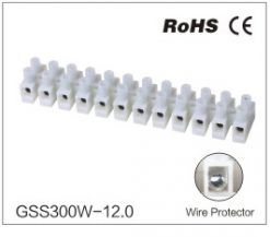 GSS300W-12.0